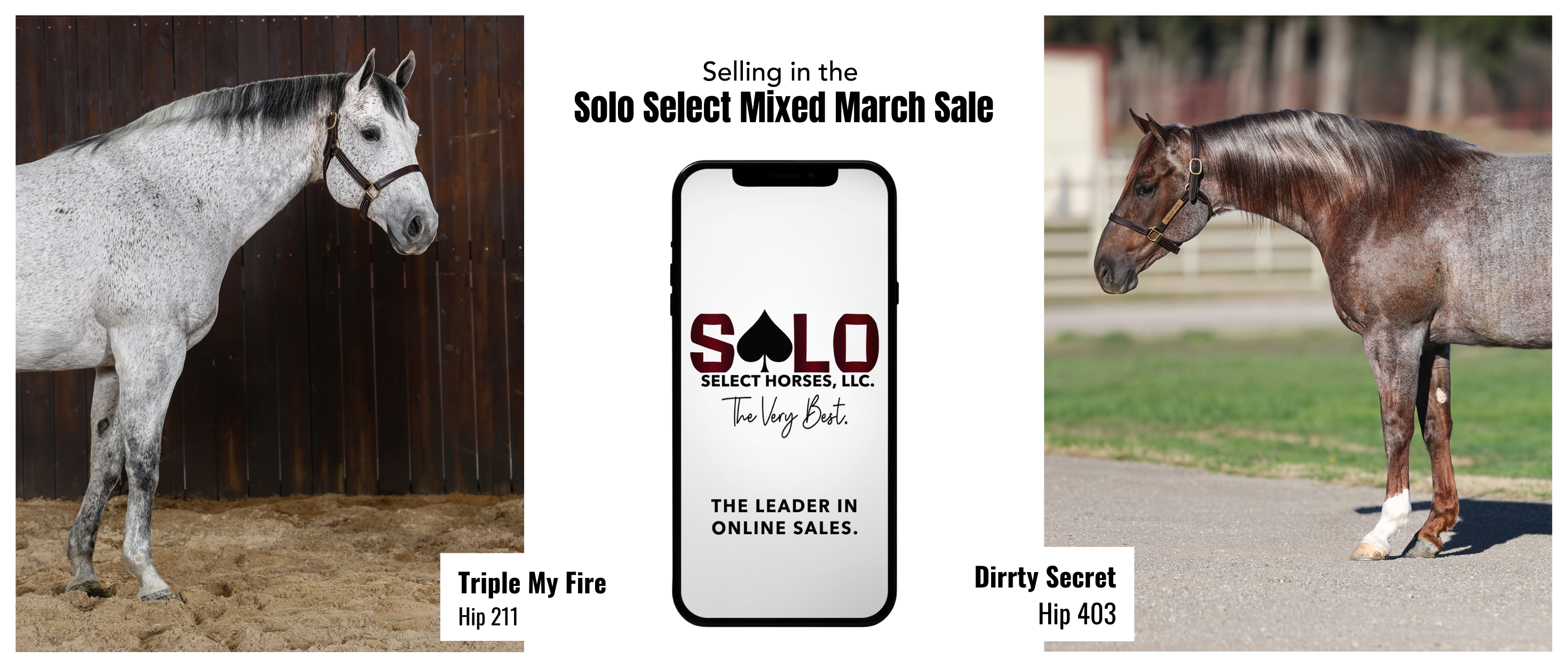 A Producer and a Prospect: Two Must-Watch Lots in the Solo Select March Mixed Sale