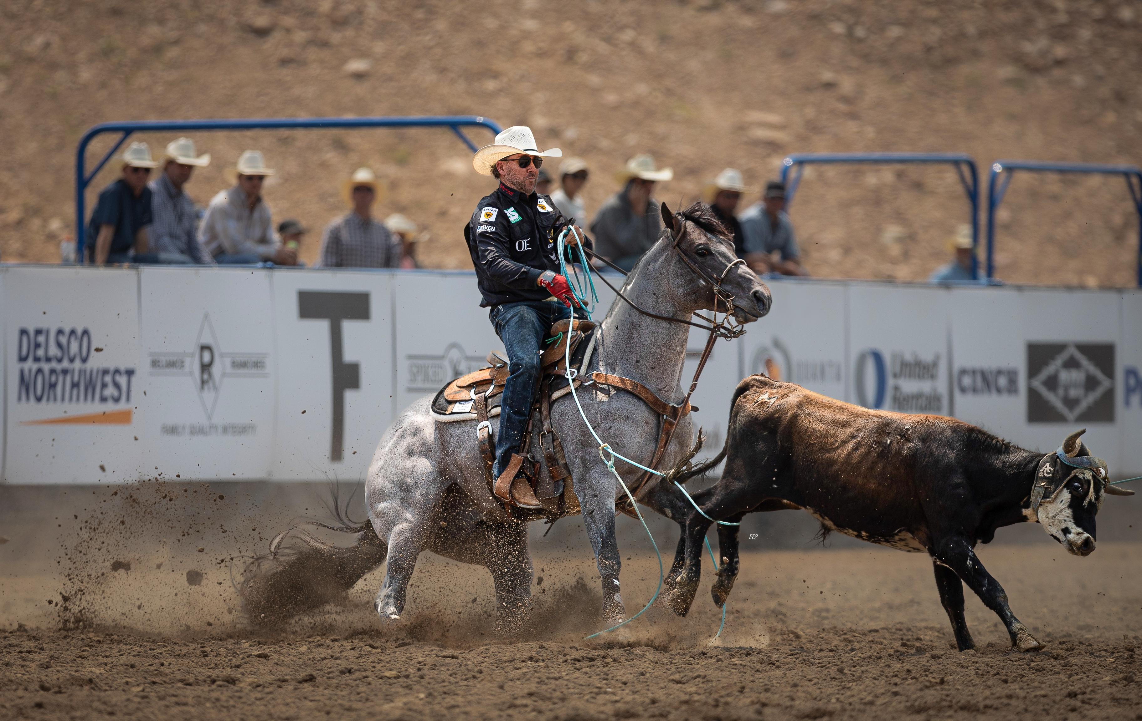 Solo Select, Relentless Remuda Horses Win $121,895 at Old West Futurity 2024