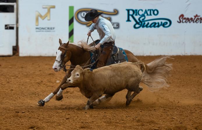 Woody Be Tuff Strikes Again—CR Dainty N Tuff Dominates Open Two Rein