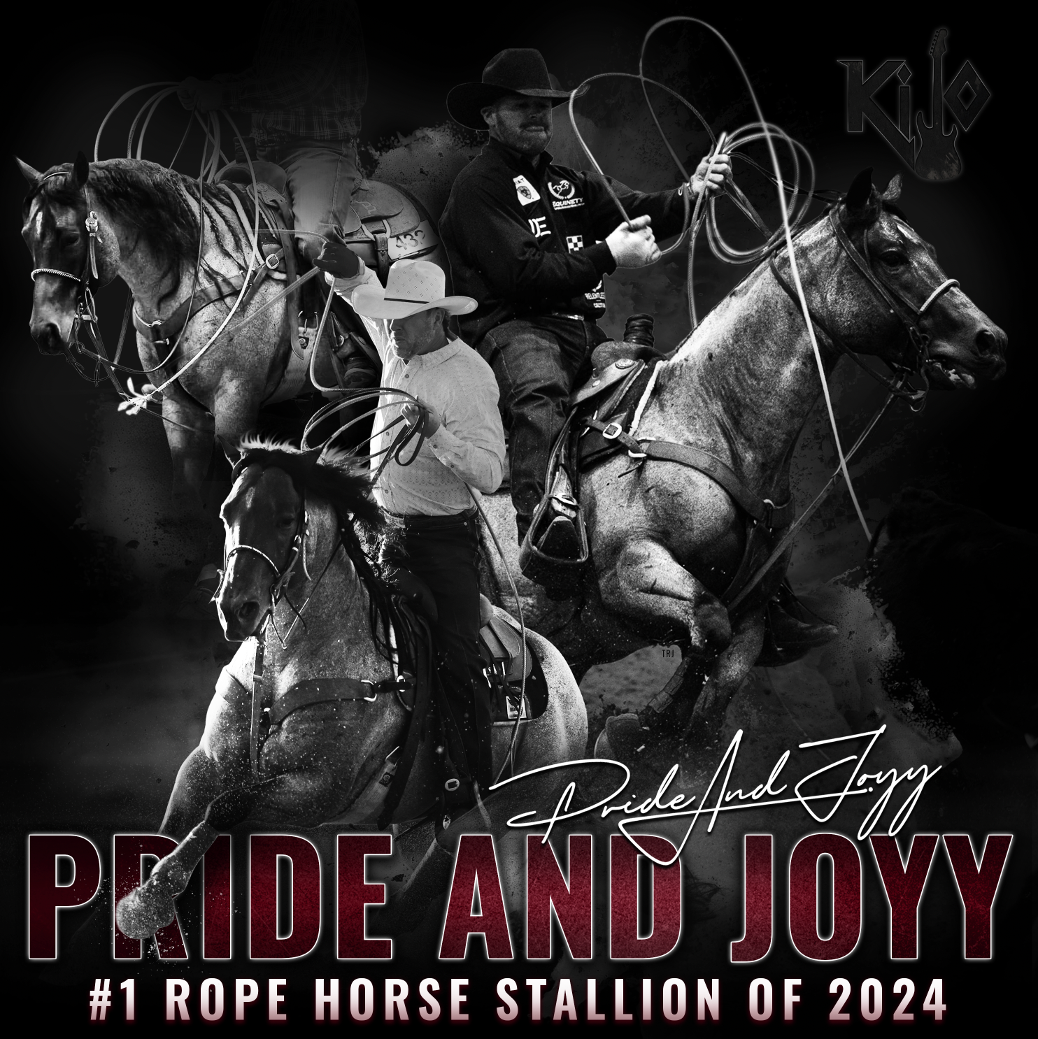 Pride And Joyy: Top Rope Horse Of 2024