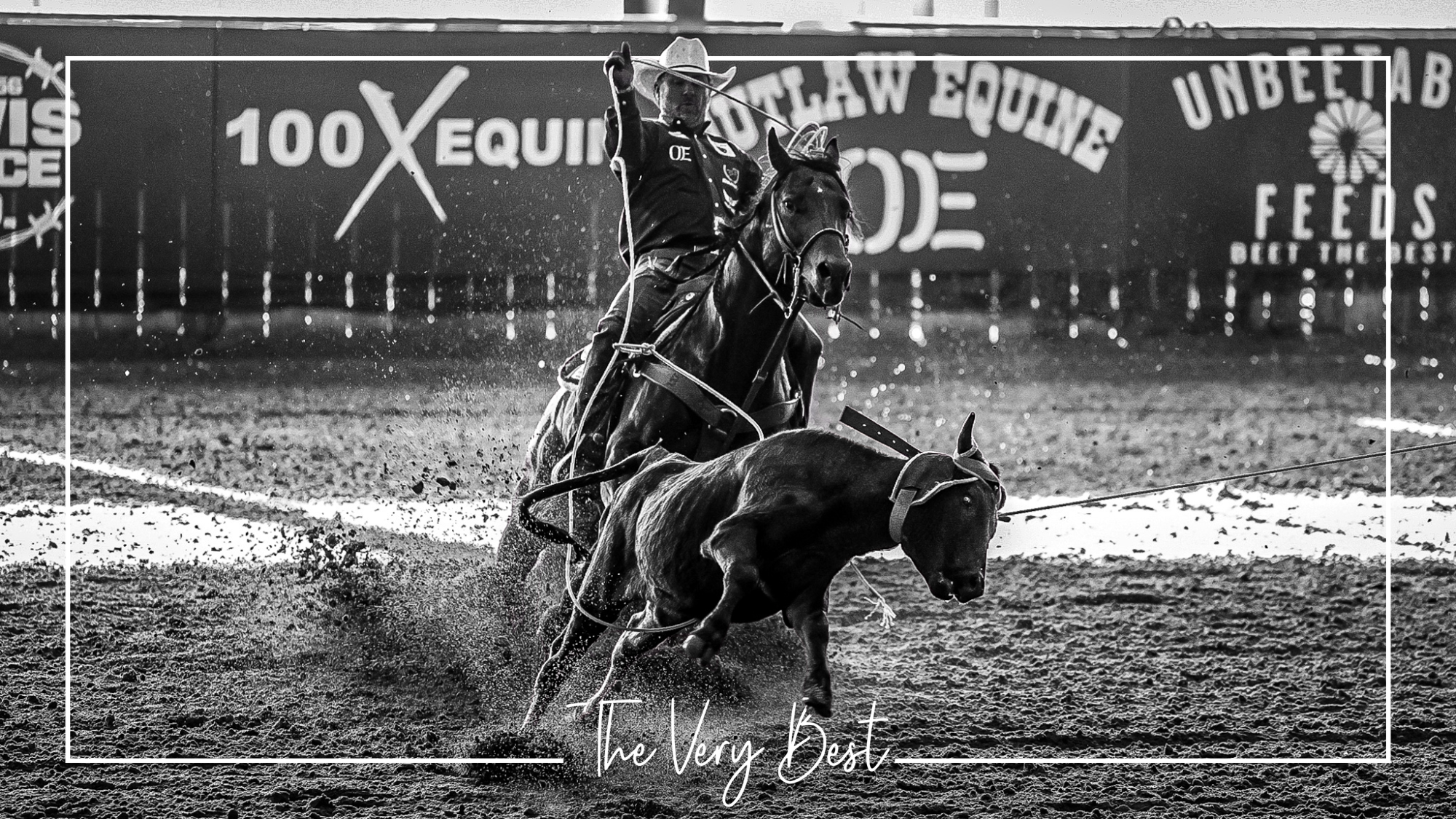 Going for Gold — $40,882 Earned at the Gold Buckle Futurities