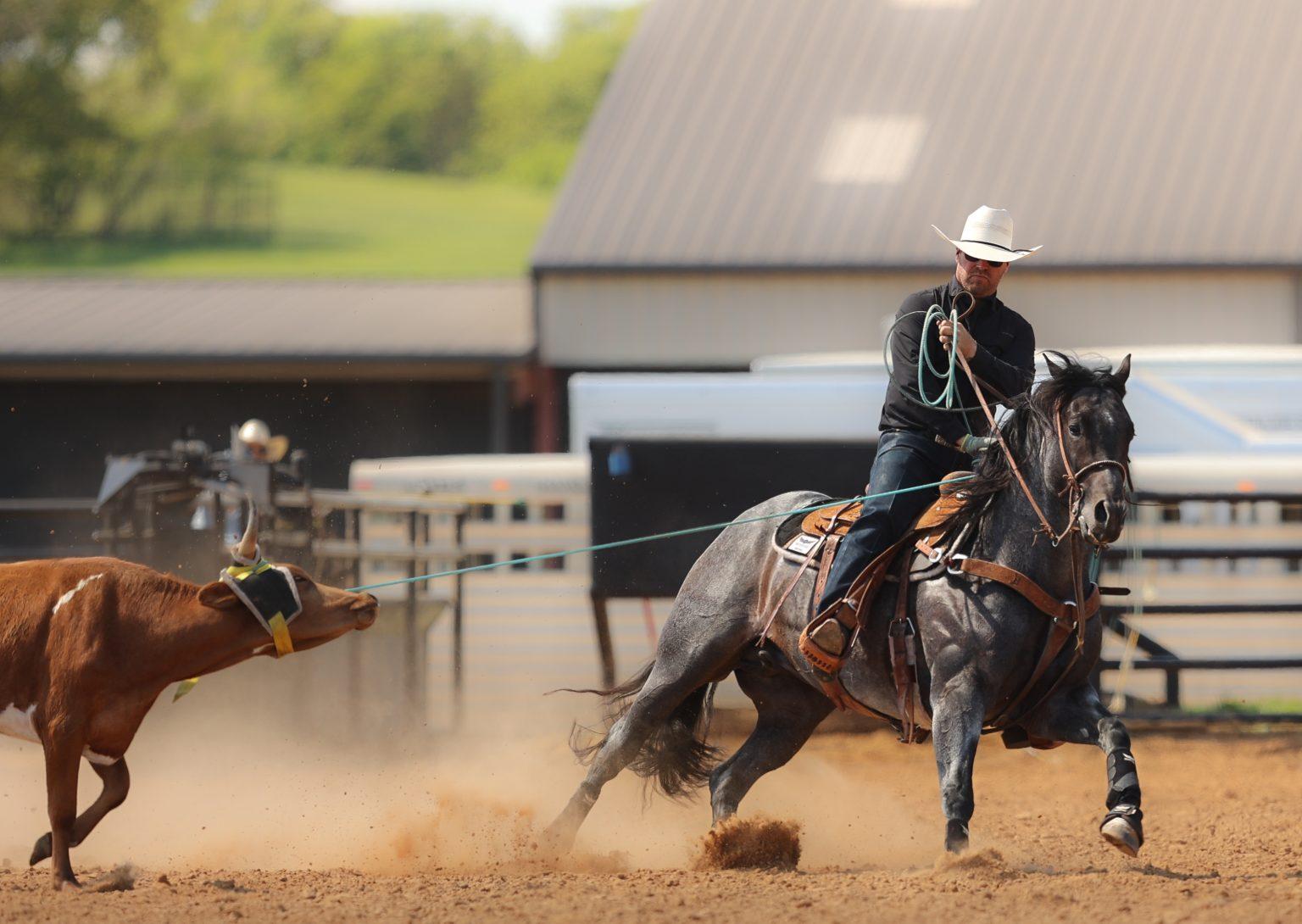 The Darkk Side Rope Horse Syndicate Sells Out Shares in 24 Hours