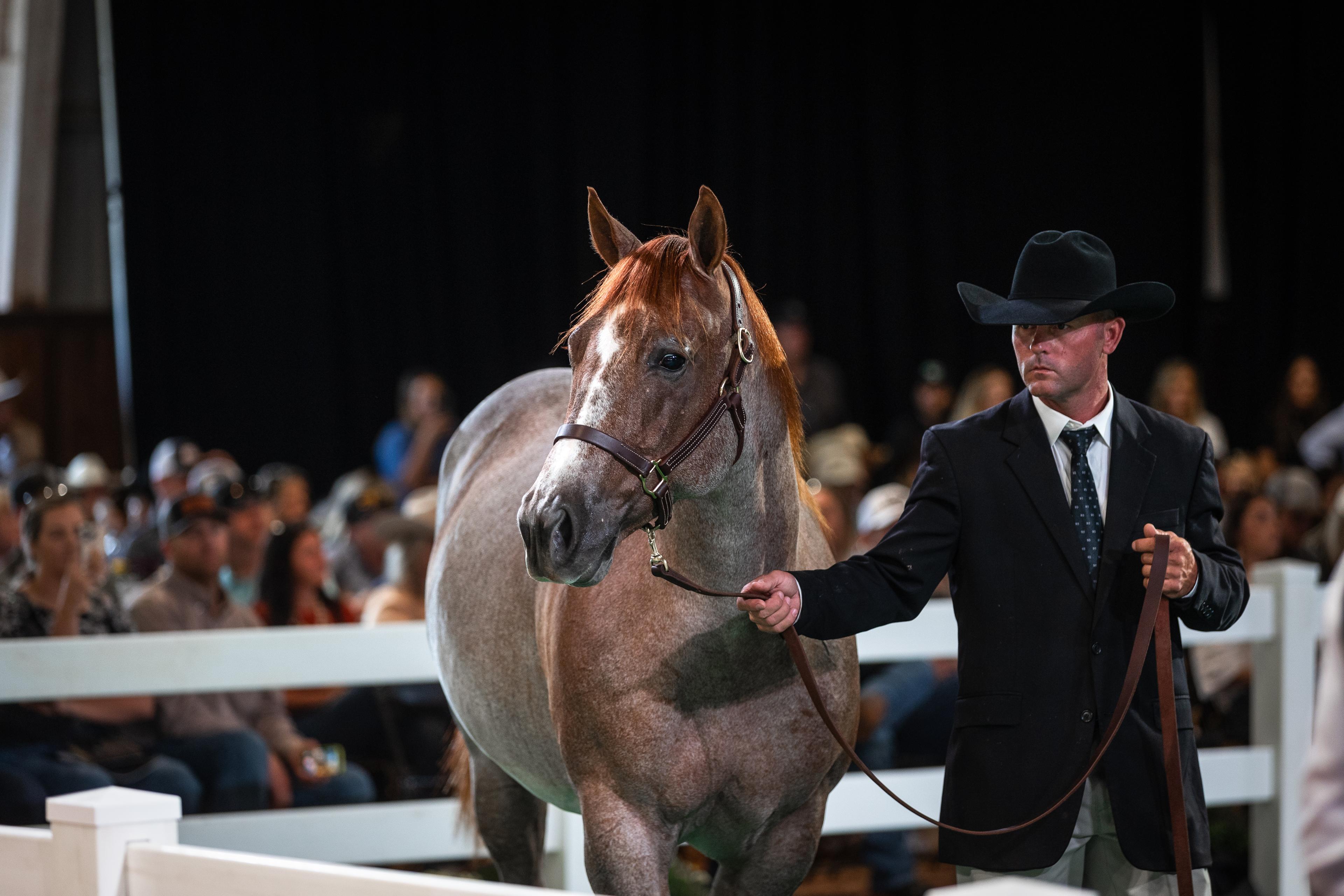 $6.8 Million Day Proves Once In A Blu Boon’s Dominance as a Broodmare Sire