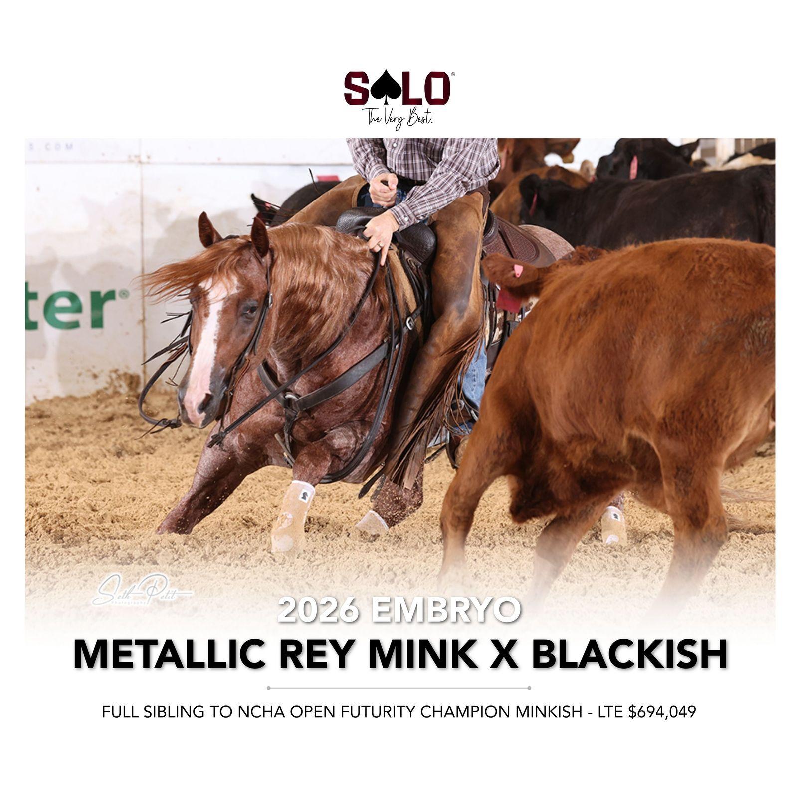 Full Sibling to the 2025 NCHA Open Futurity Champion Sells New Year’s Eve
