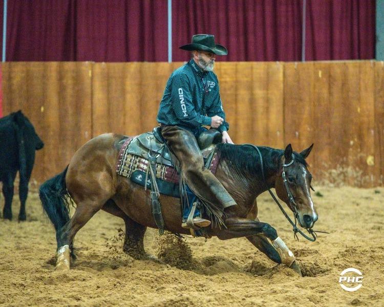 Ms Baby Cakes Becomes Highest Selling Horse in Online Auction History
