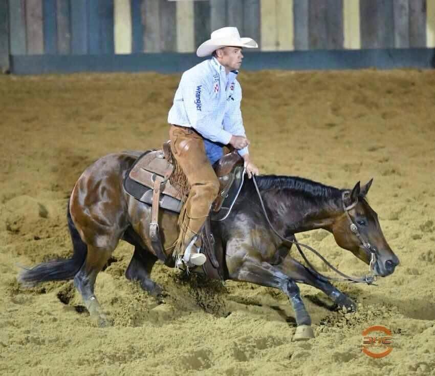 $175K Special Nu Baby Embryo, $78K Freckles Playboy and Playgun Embryos Top Christmas Eve Sale
