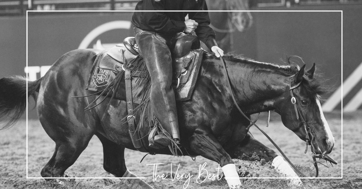 Elite Embryos Offered Friday - Featuring the Standout Cross: PYC Paint Your Wagon x Blackish