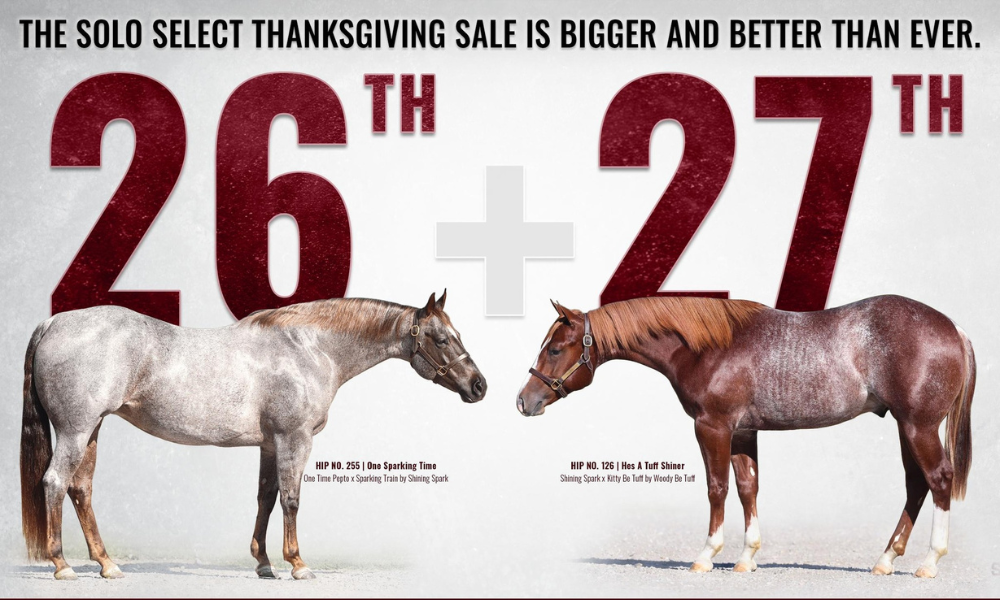 Two Days, Every Level: Solo Select Thanksgiving Sale Hits on Access and High-End Demand