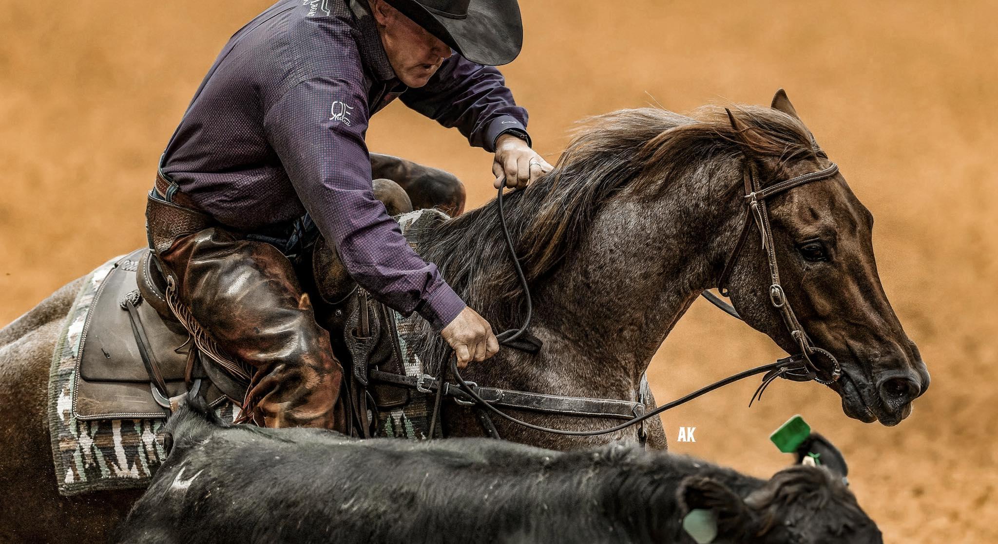 Meteles Cat Colt 'Tell Me What U Want' Wins the 2024 NRCHA Intermediate Open Futurity