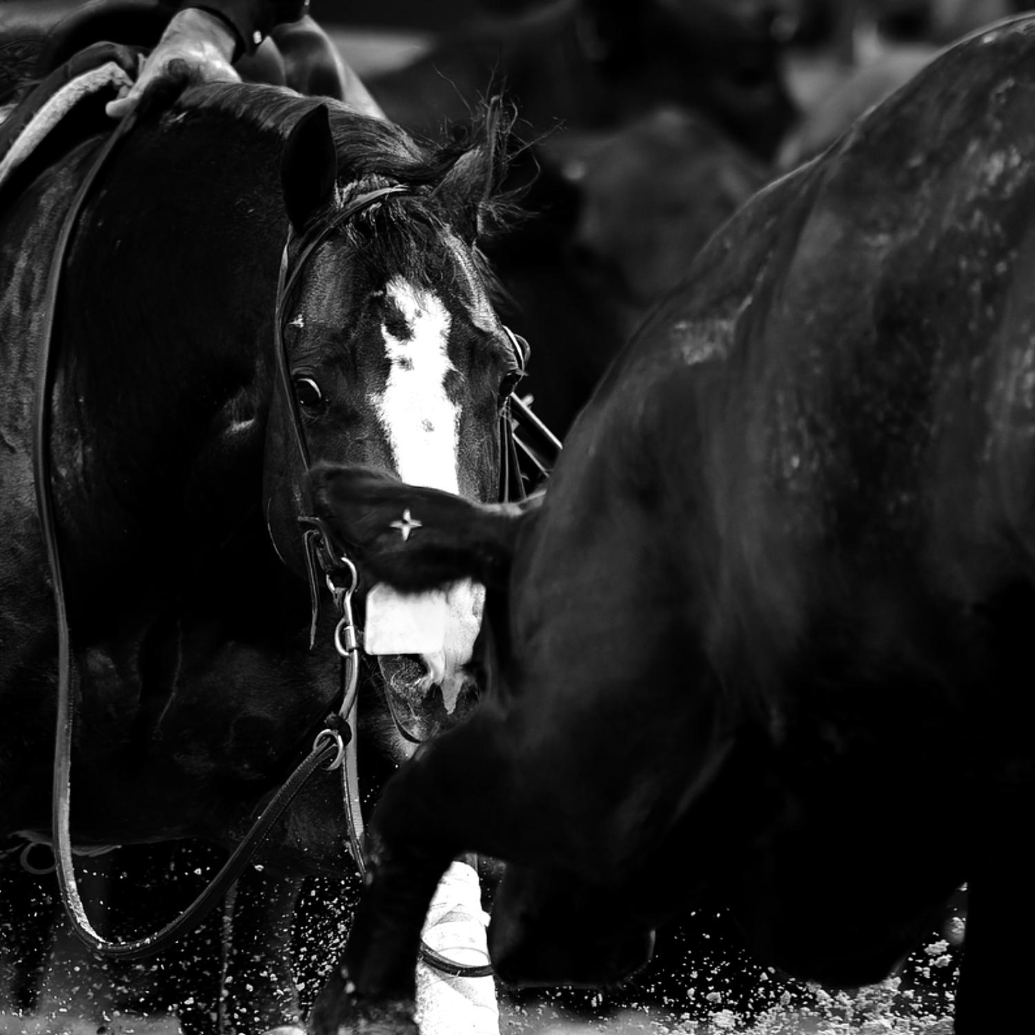 LBR Hangem Leads Field Into Idaho Open Finals