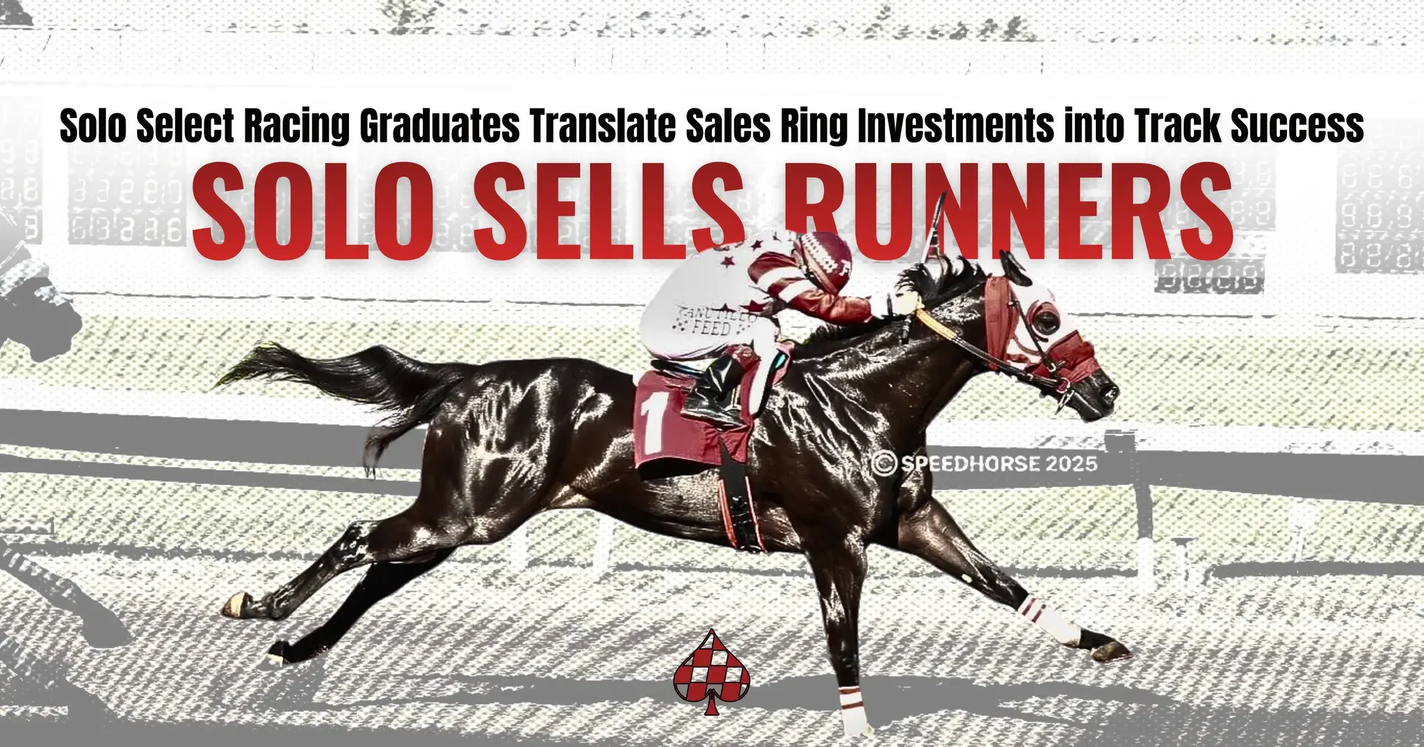 Solo Sells RUNNERS: Solo Select Racing Graduates Translate Sales Ring Investments into Track Success