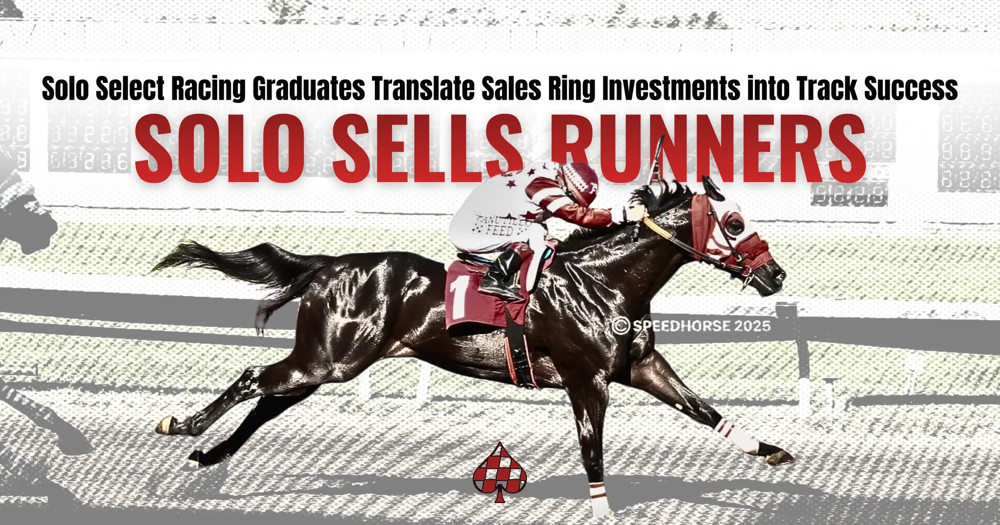 Solo Sells RUNNERS: Solo Select Racing Graduates Translate Sales Ring Investments into Track Success