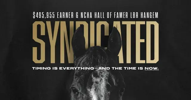 Current NCHA Horse of the Year Leader, $495K-Earning Stallion LBR Hangem Syndicated