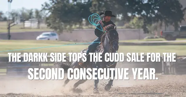 Back-to-Back: The Darkk Side Tops the Cudd Sale for Second Consecutive Year