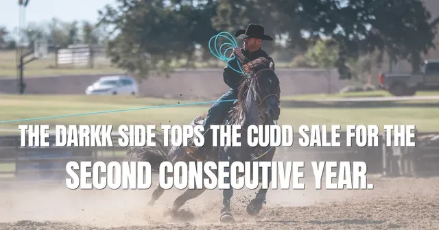 Back-to-Back: The Darkk Side Tops the Cudd Sale for Second Consecutive Year