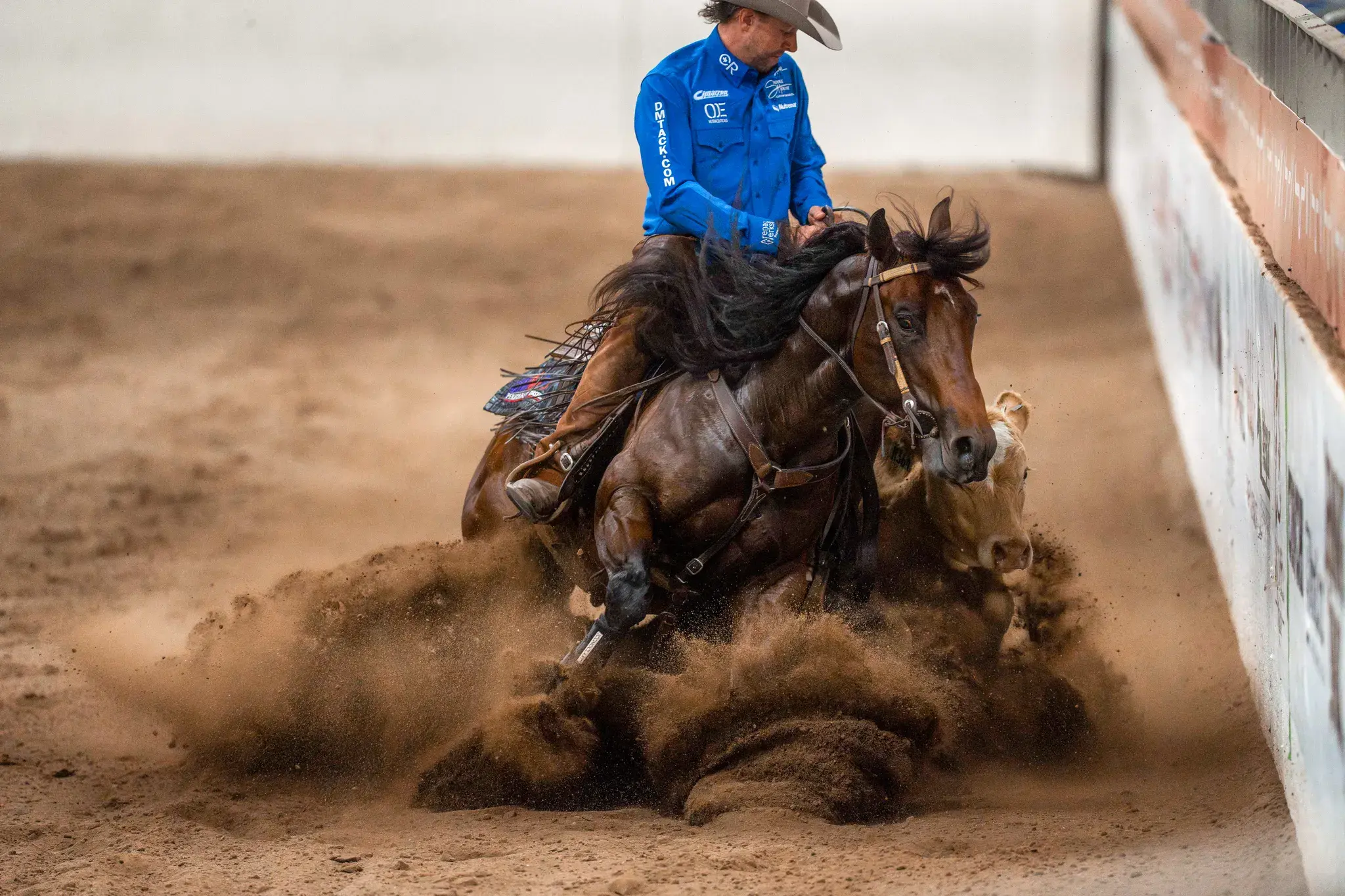 Badddazzzzz Stevie, a 2021 bay breeding stallion, by Stevie Rey Von standing at Solo Select Horses