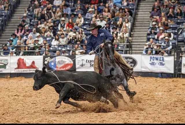 Tic Tick Boom Boon, a 2021 blue roan breeding stallion, by Smooth As A Cat standing at Solo Select Horses