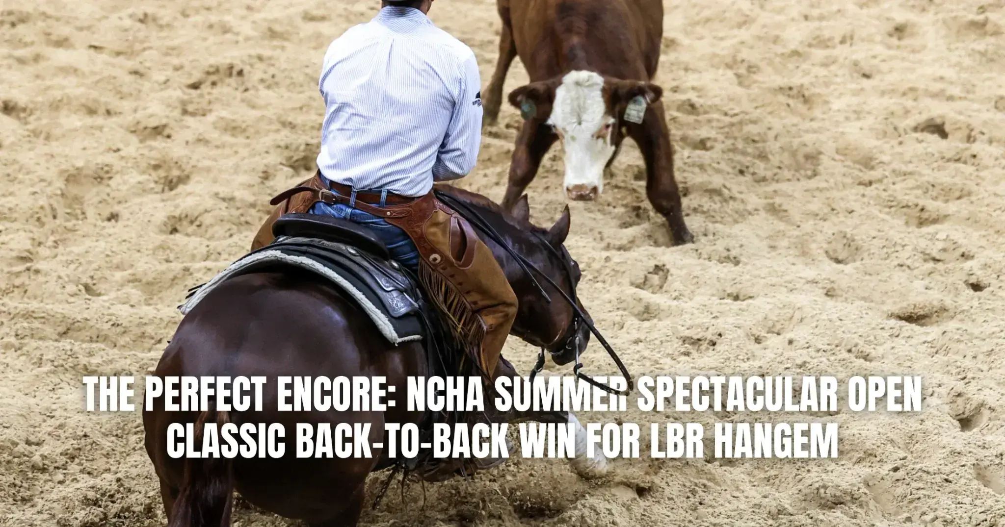 The Perfect Encore: LBR Hangem Marks a Massive 226 to Win the 2026 NCHA Summer Spectacular Open Classic, Adding $77,955 to Break the Half-Million Mark
