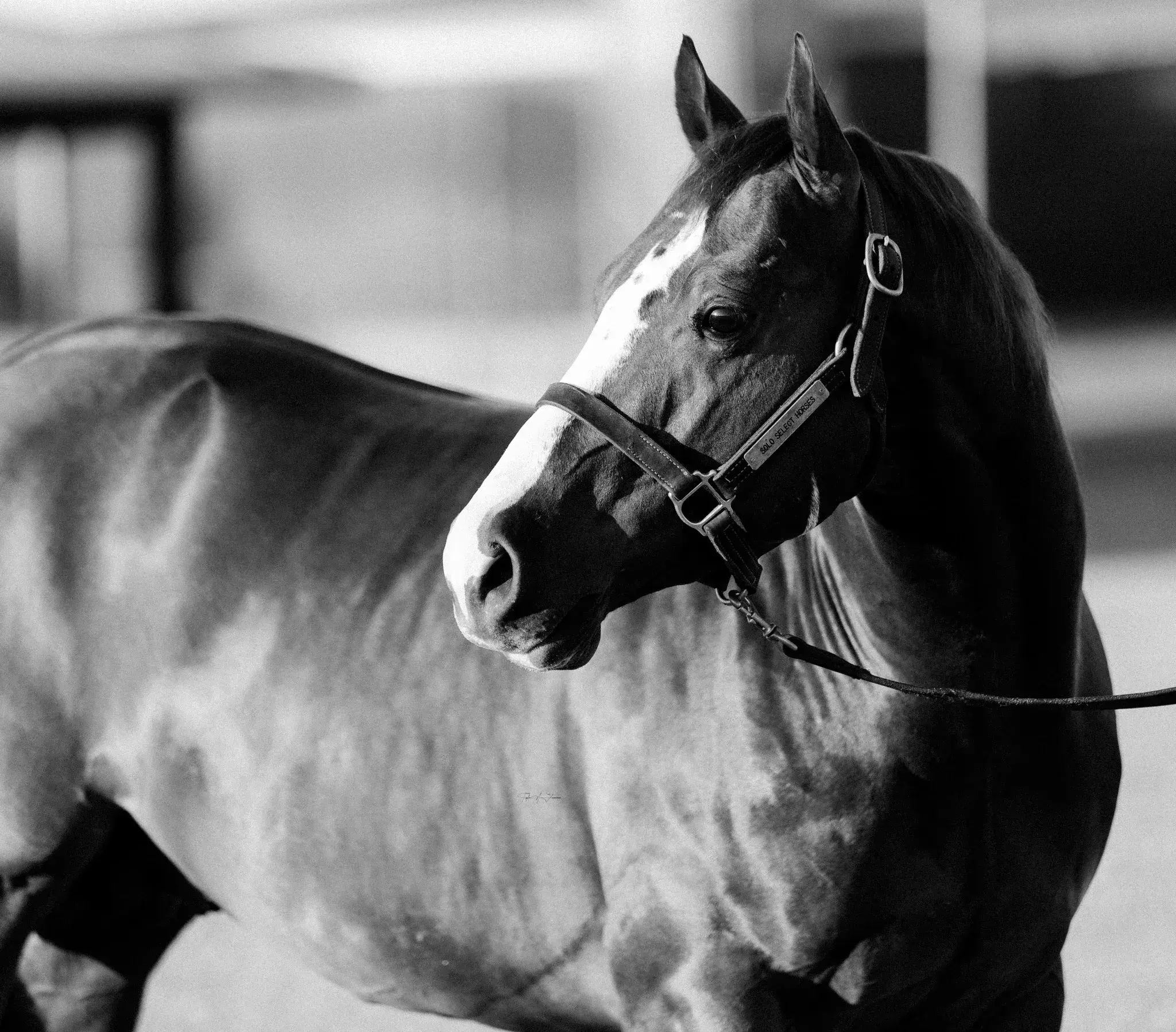 From West Texas to Sin City: LBR Hangem Isn't Done Yet