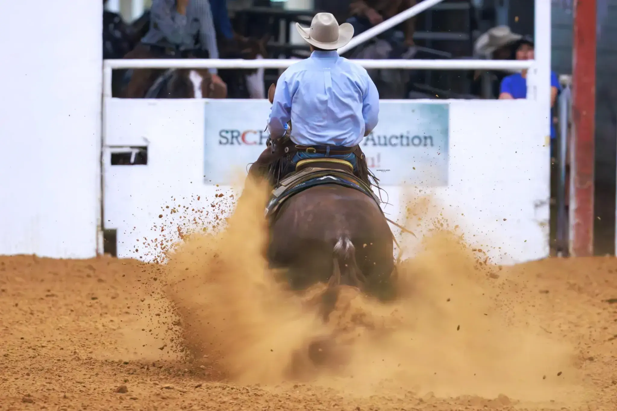 My Chic Hood and Tyson Benson Win SRCHA Intermediate Open Futurity