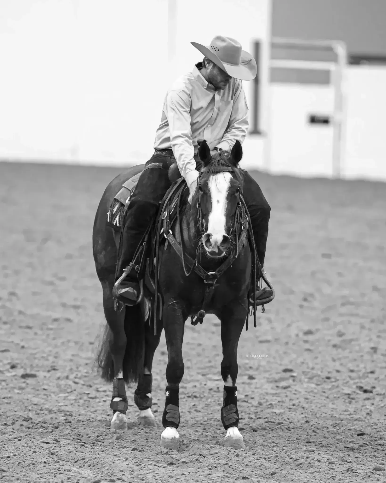 My Chic Hood and Tyson Benson Win SRCHA Intermediate Open Futurity