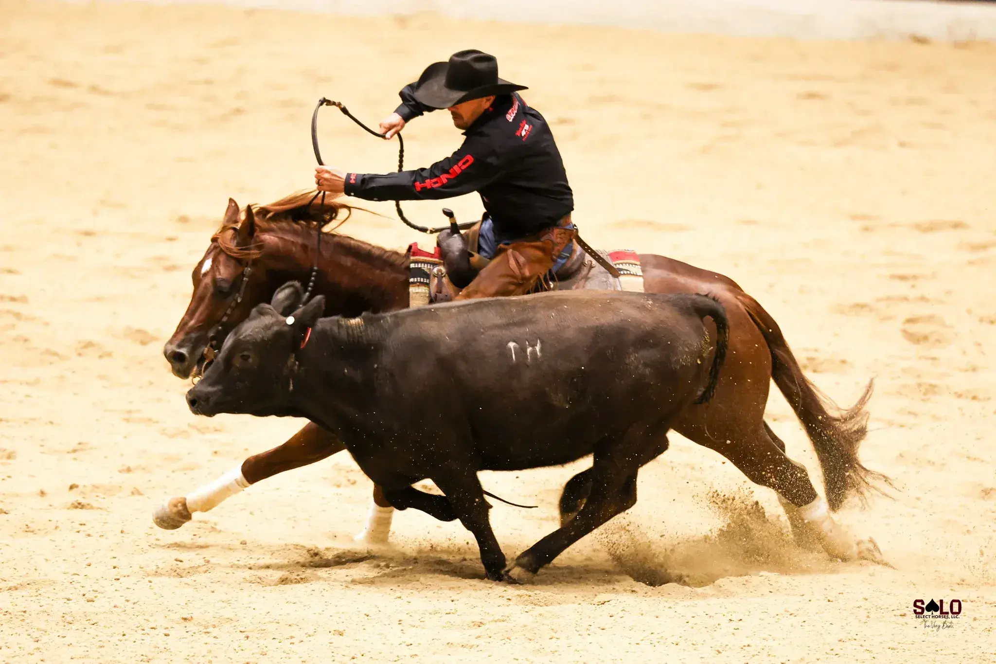 A rider in a black cowboy hat and dark shirt on a sorrel horse with white hind socks works a black cow in a dirt arena, both horse and cow leaning hard into a turn with dust kicking up.