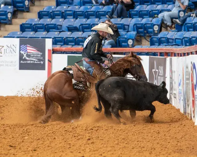 A rider in a light cowboy hat and dark long-sleeved shirt works a black cow on a chestnut horse in a dirt-floored indoor arena with blue spectator seating and sponsor banners in the background.