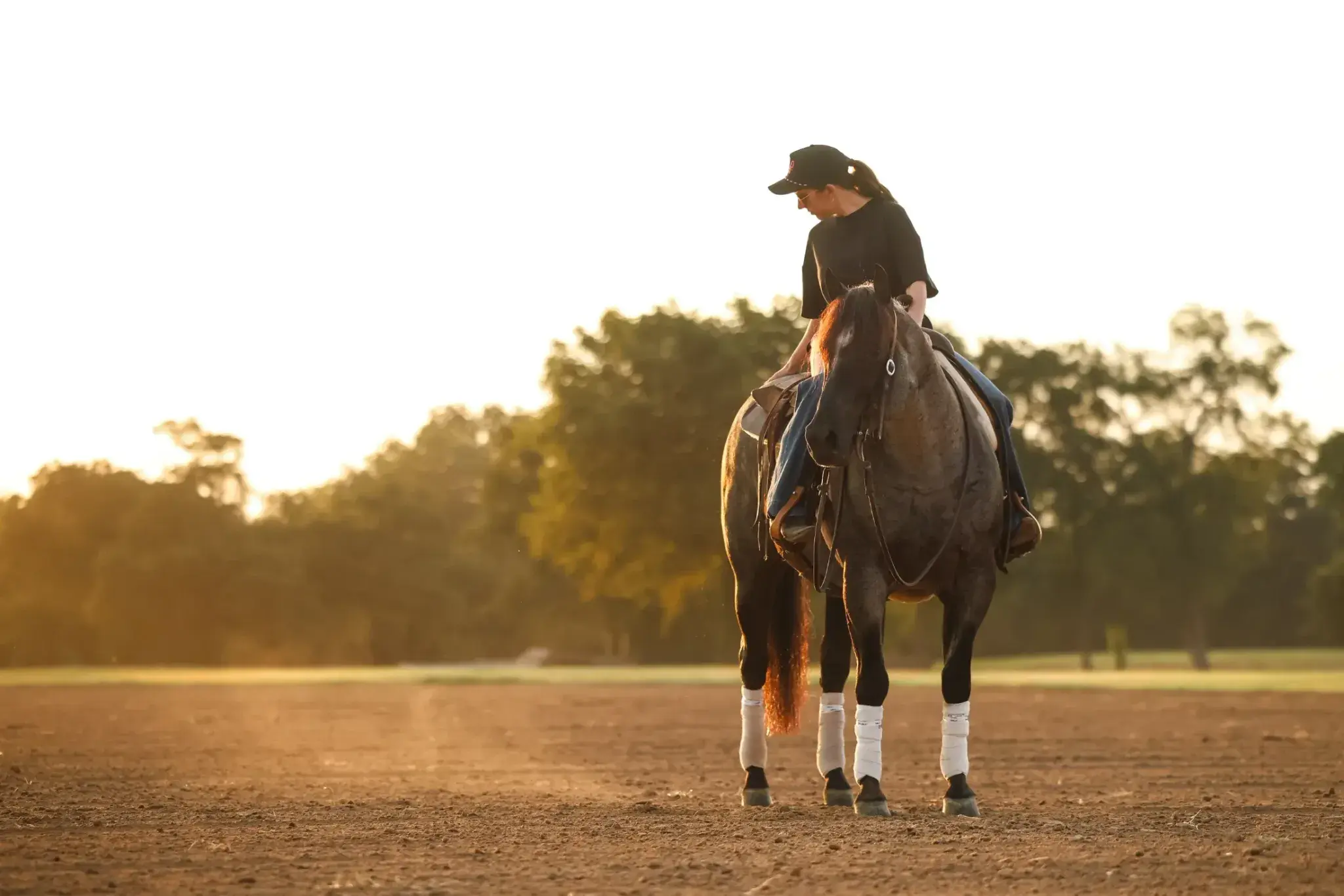 A woman in a black shirt and cap sits on a blue roan horse wearing a western saddle and white leg wraps in a dirt arena with trees in the background at sunset.