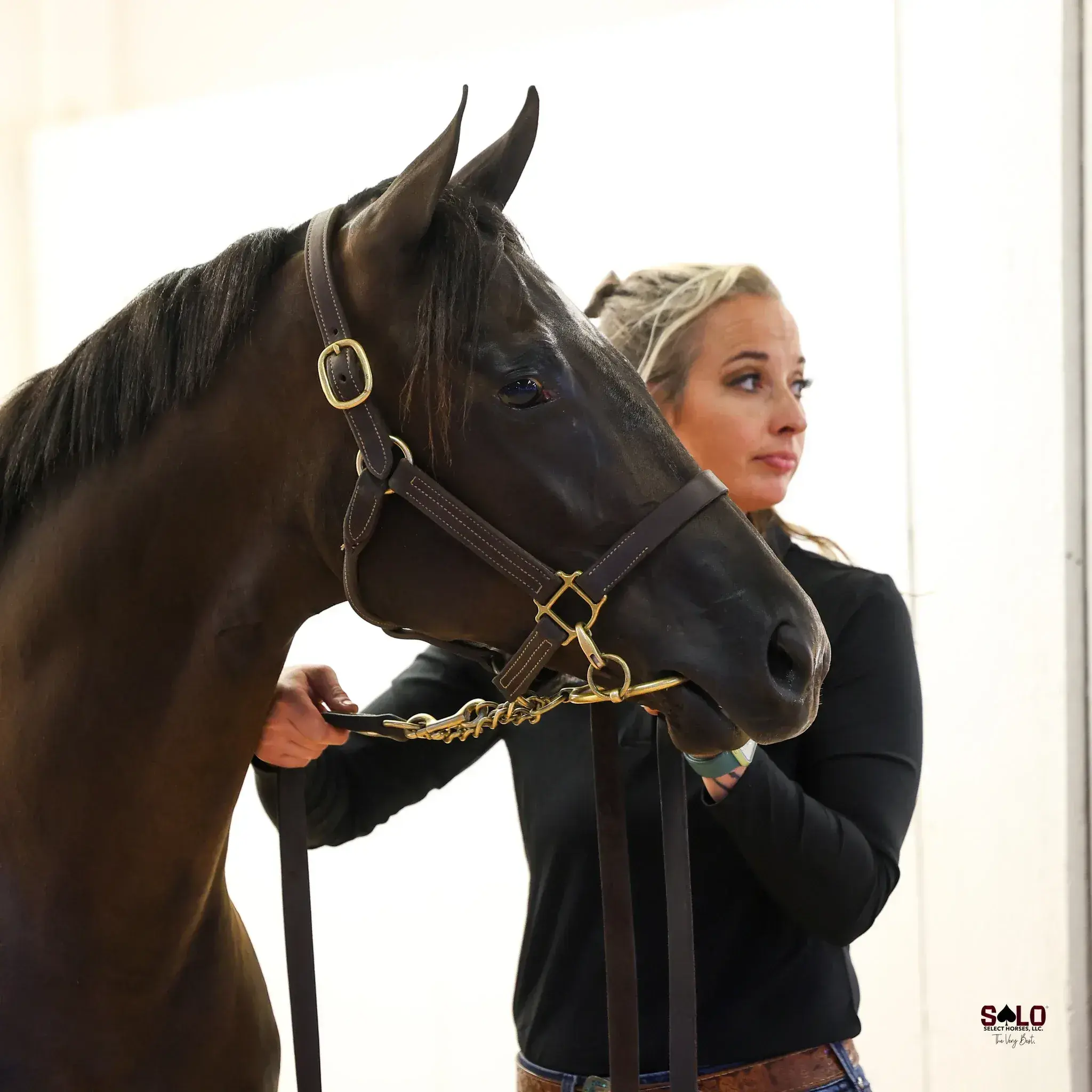A dark bay or black horse wearing a leather halter with a lead chain stands beside a blonde woman in a black long-sleeve top who is holding the lead indoors.