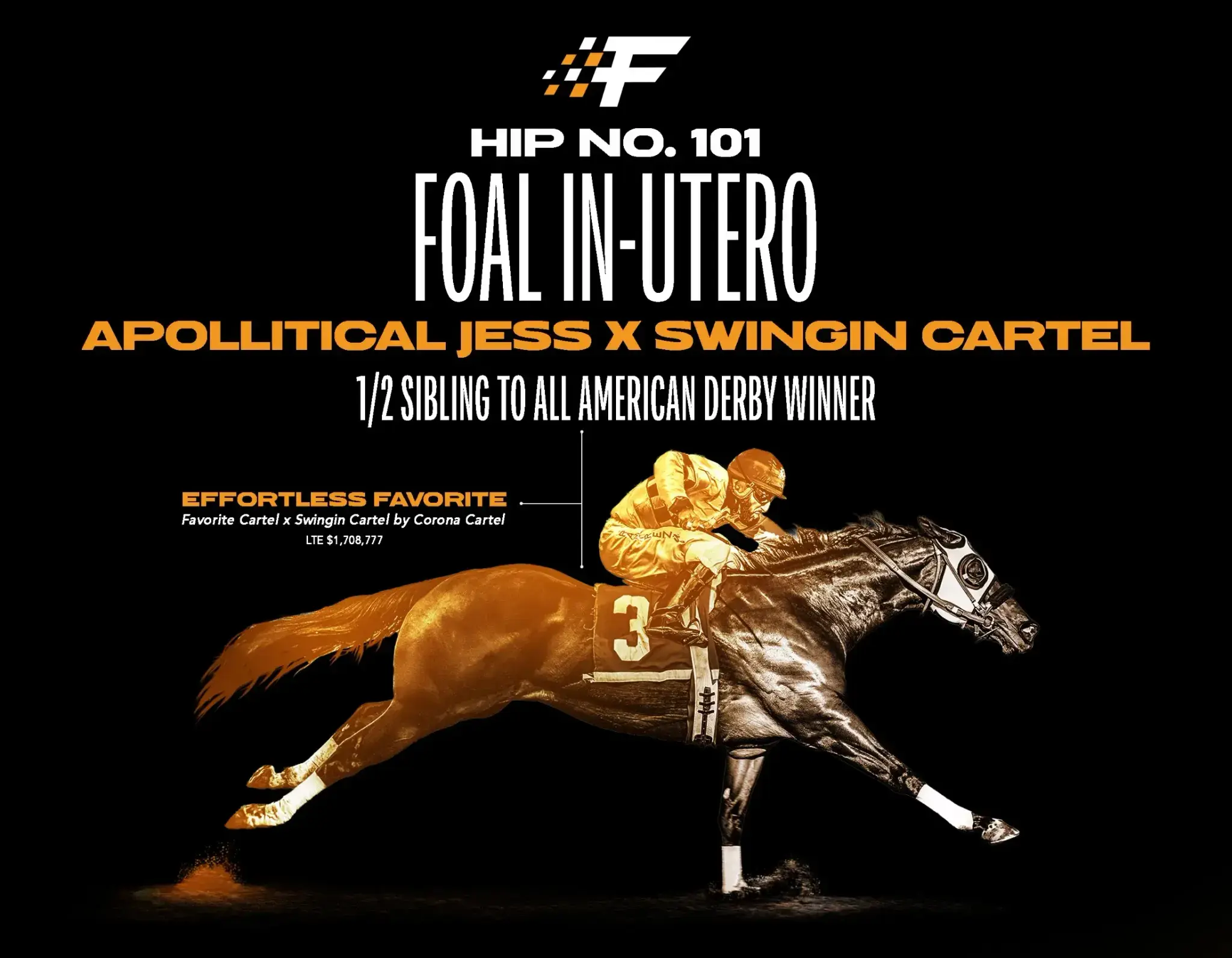 All the Right Ingredients: Apollitical Jess × Swingin Cartel Foal In Utero Brings $80,000