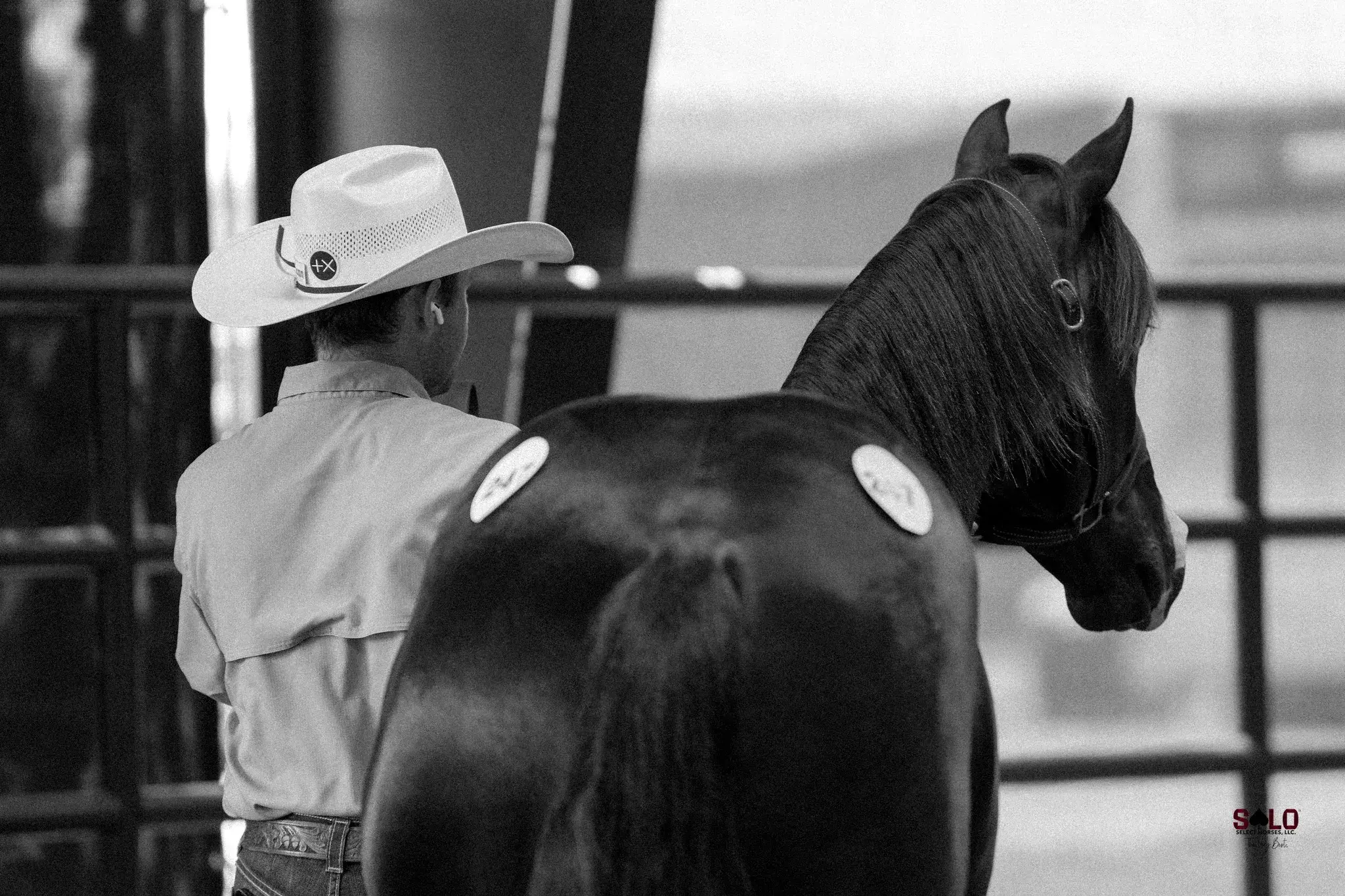 Black-and-white photo of a person in a light shirt and cowboy hat standing beside a dark horse wearing numbered exhibitor stickers near a metal rail.