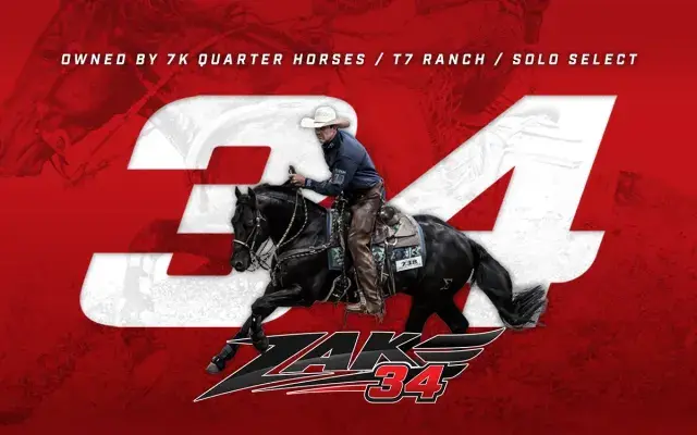 $429K Earning NRCHA Snaffle Bit Futurity Champion Zak 34 to Stand at Solo Select Under New Ownership