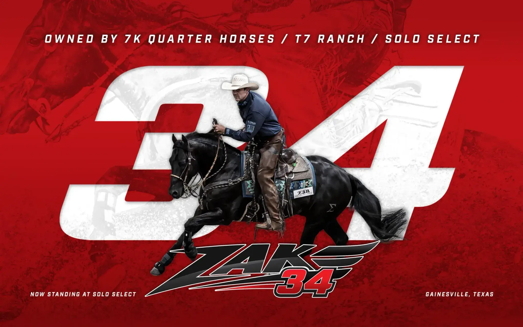 $429K Earning NRCHA Snaffle Bit Futurity Champion Zak 34 to Stand at Solo Select Under New Ownership