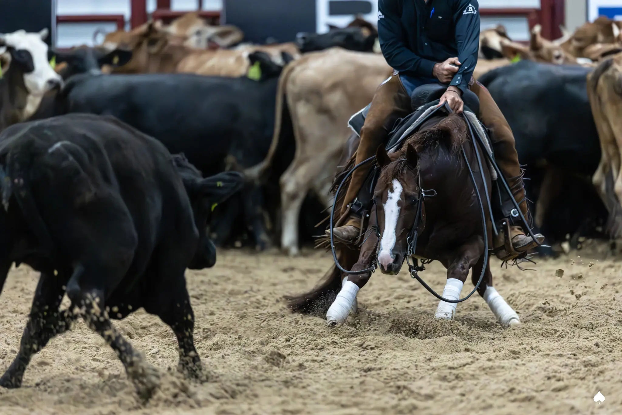 LBR Hangem Marks 231 to Win Brazos Bash to End Hall-of-Fame Career with $688K in LTE