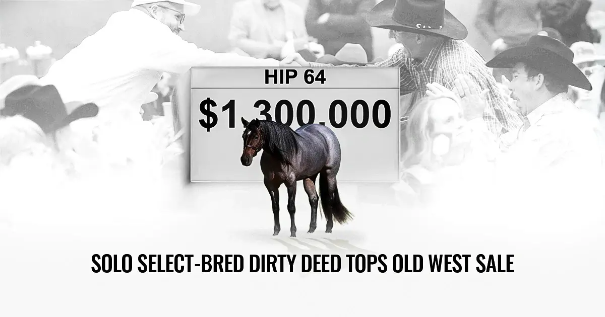 Solo Select-Bred Dirty Deed Tops Old West Sale at $1.3 Million