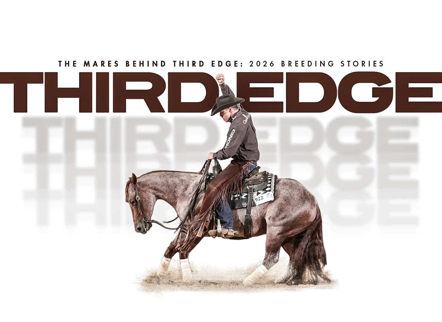 A rider in a dark long-sleeve shirt, black cowboy hat, and chaps sits on a red roan horse wearing a numbered back pad as the horse performs a sliding stop in arena dirt.