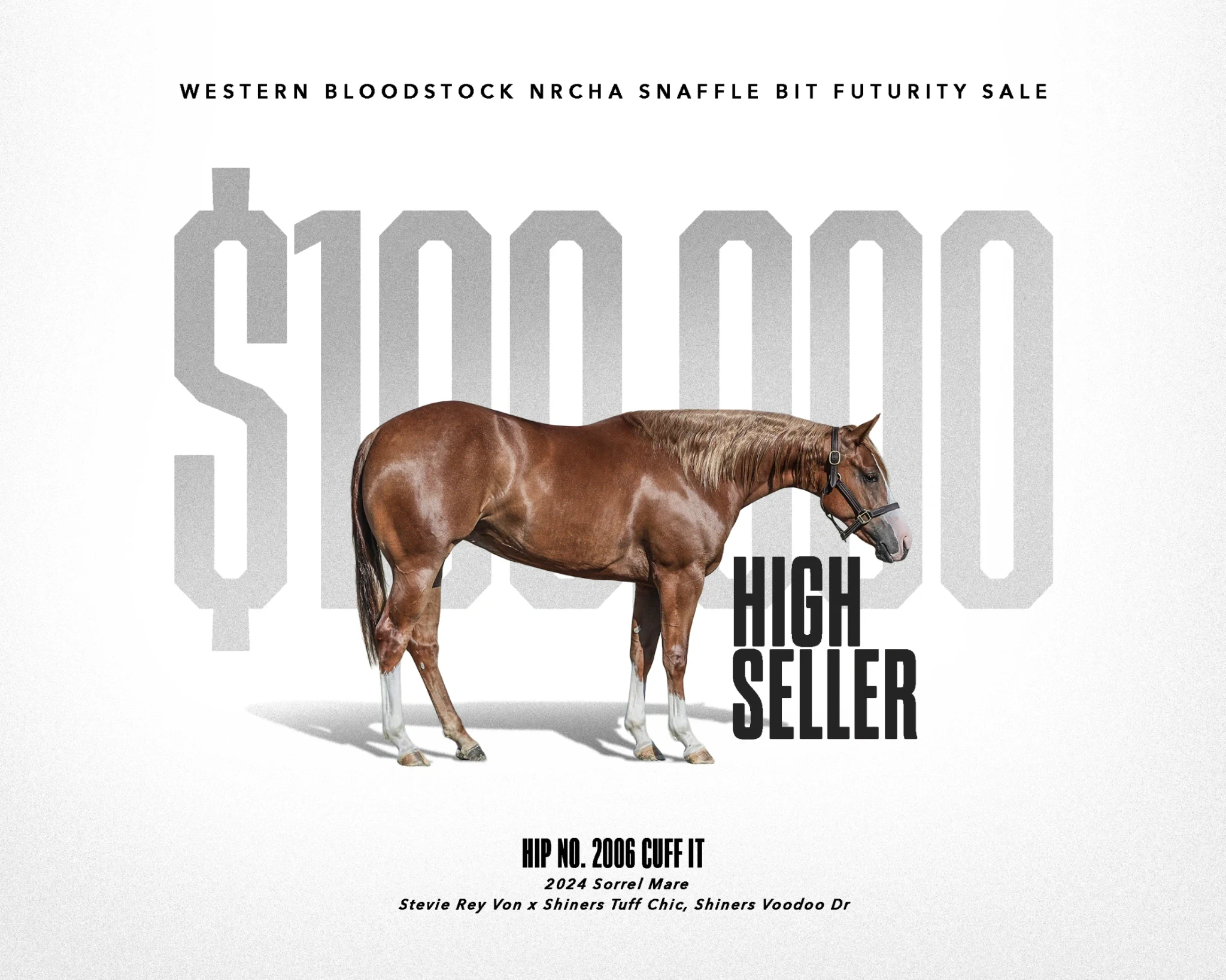Cuff It topped Western Bloodstock’s Select 2-Year-Old session at $100,000 after graduating from the Solo Select Yearling Sale.
