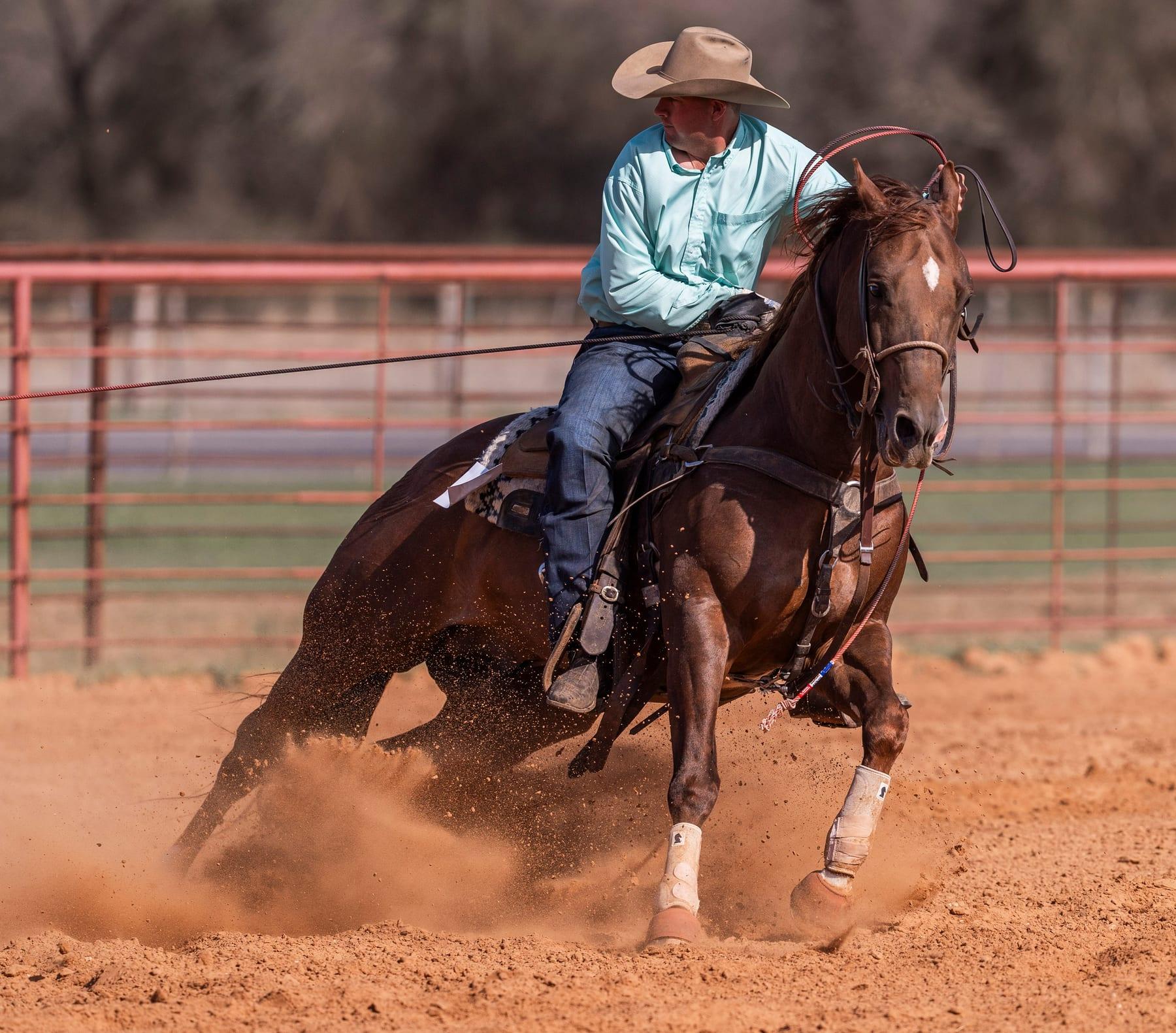 CR Get Tuff, sorrel reined cow horse stallion at Solo Select Horses — photo 1