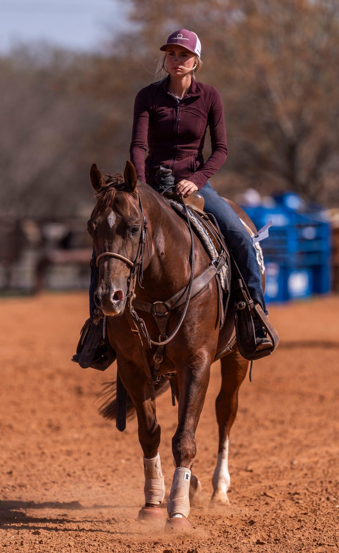 CR Get Tuff, sorrel reined cow horse stallion at Solo Select Horses — photo 3