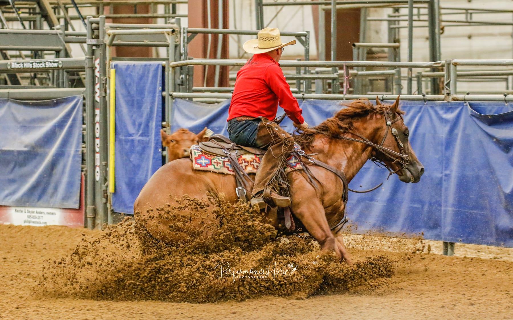 CR Get Tuff, sorrel reined cow horse stallion at Solo Select Horses — photo 6