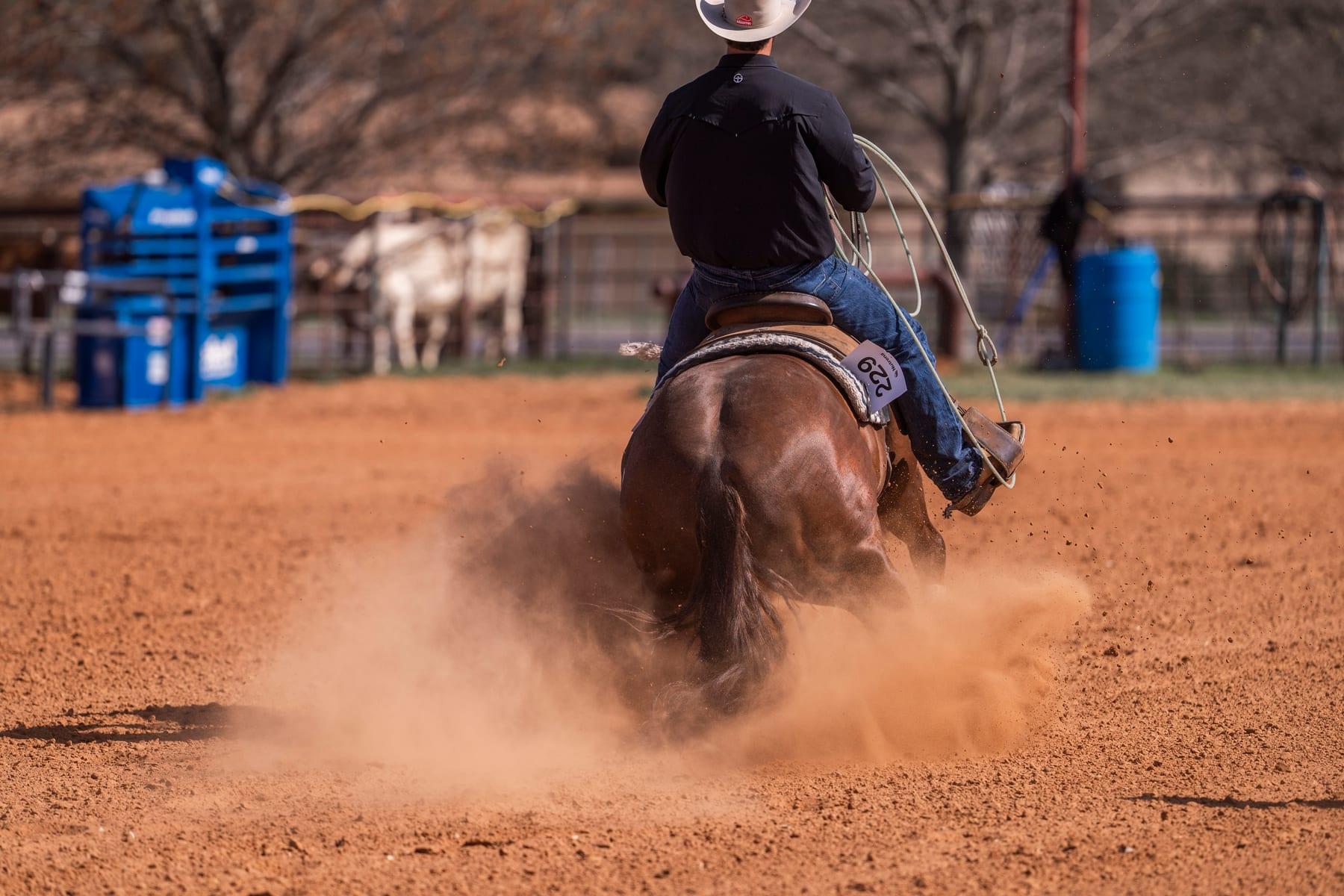 CR Get Tuff, sorrel reined cow horse stallion at Solo Select Horses — photo 8