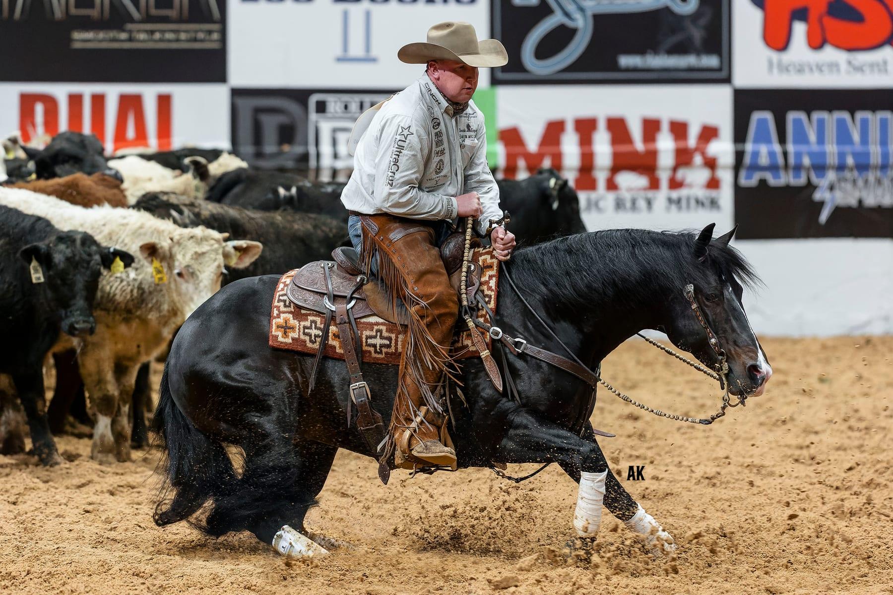 Hesa Dual Bet, bay reined cow horse stallion at Solo Select Horses — photo 1