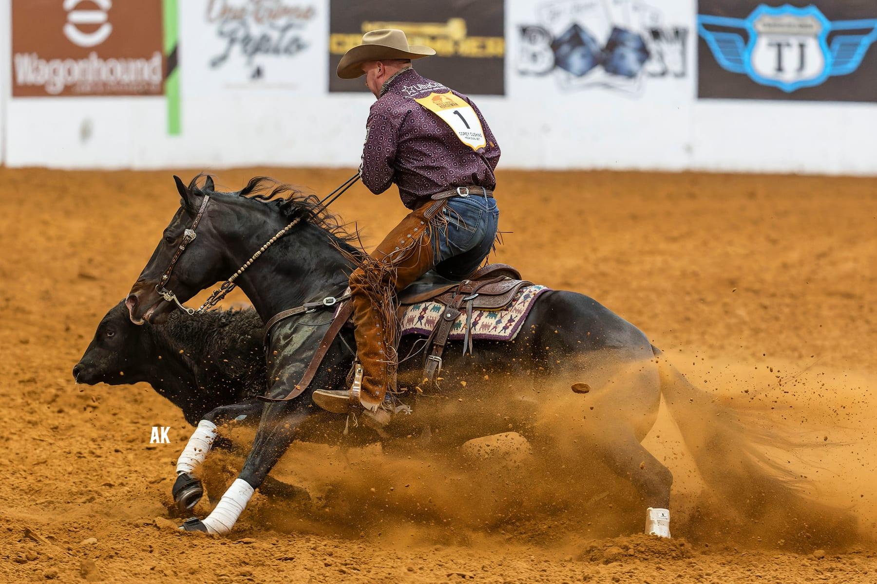 Hesa Dual Bet, bay reined cow horse stallion at Solo Select Horses — photo 3