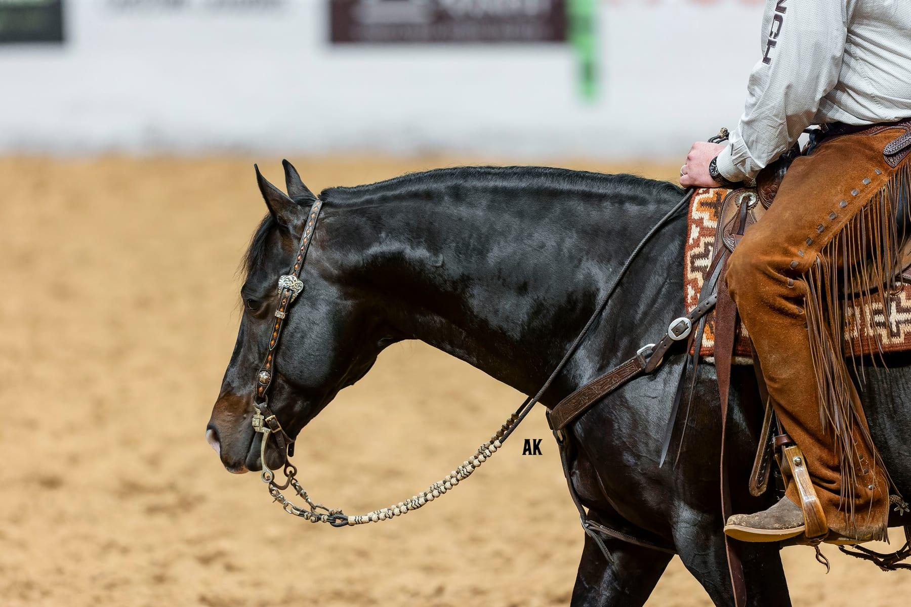 Hesa Dual Bet, bay reined cow horse stallion at Solo Select Horses — photo 4