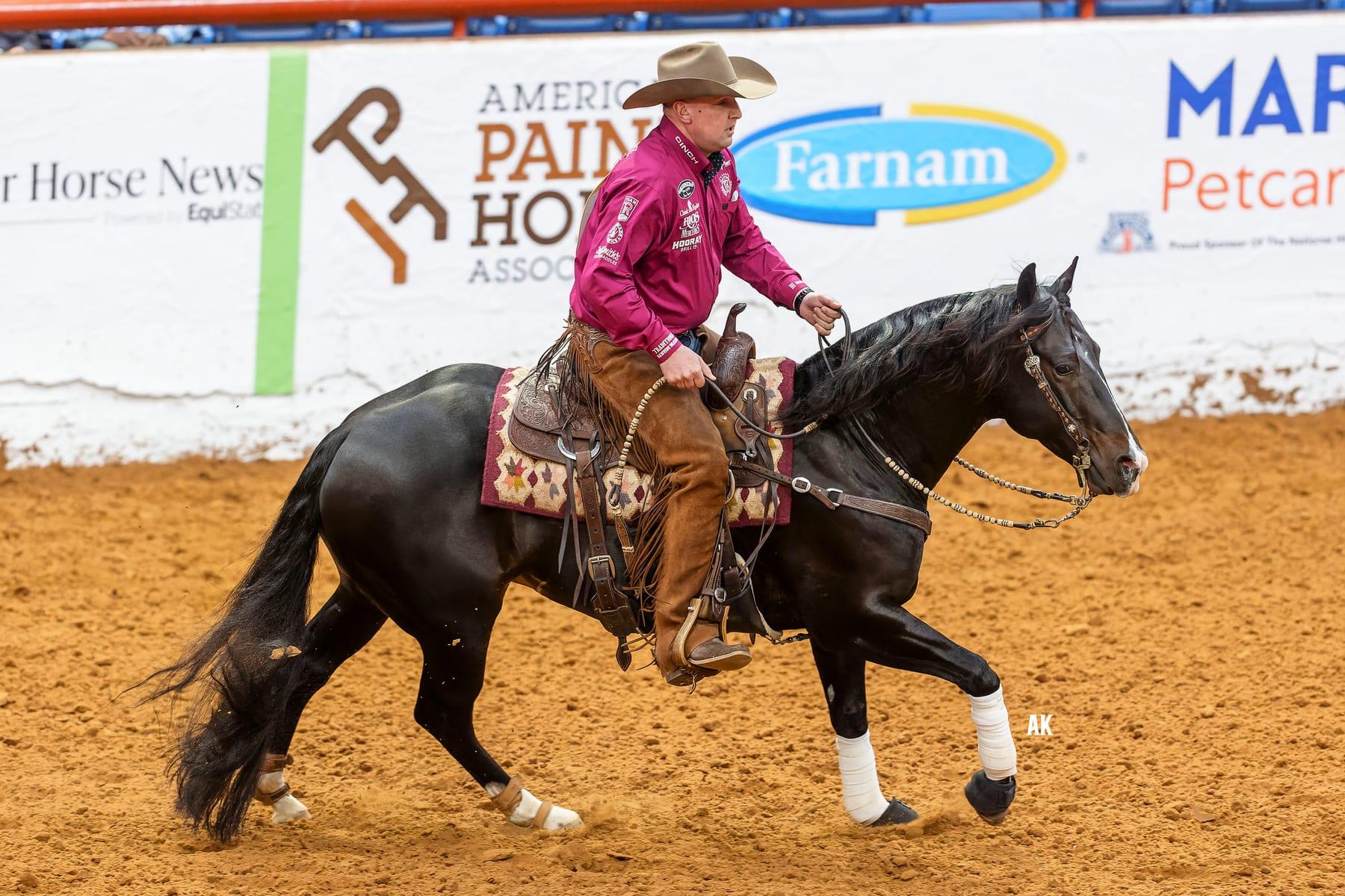 Hesa Dual Bet, bay reined cow horse stallion at Solo Select Horses — photo 5