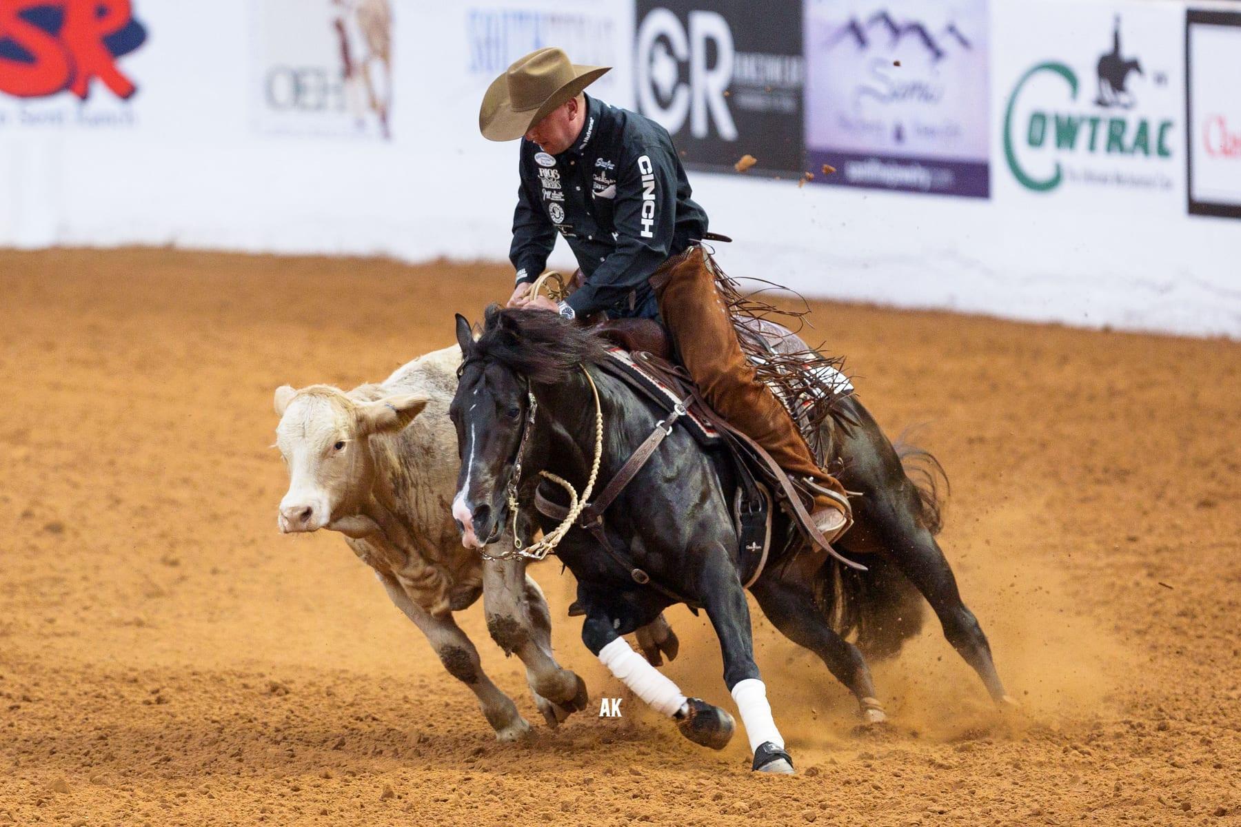 Hesa Dual Bet, bay reined cow horse stallion at Solo Select Horses — photo 6