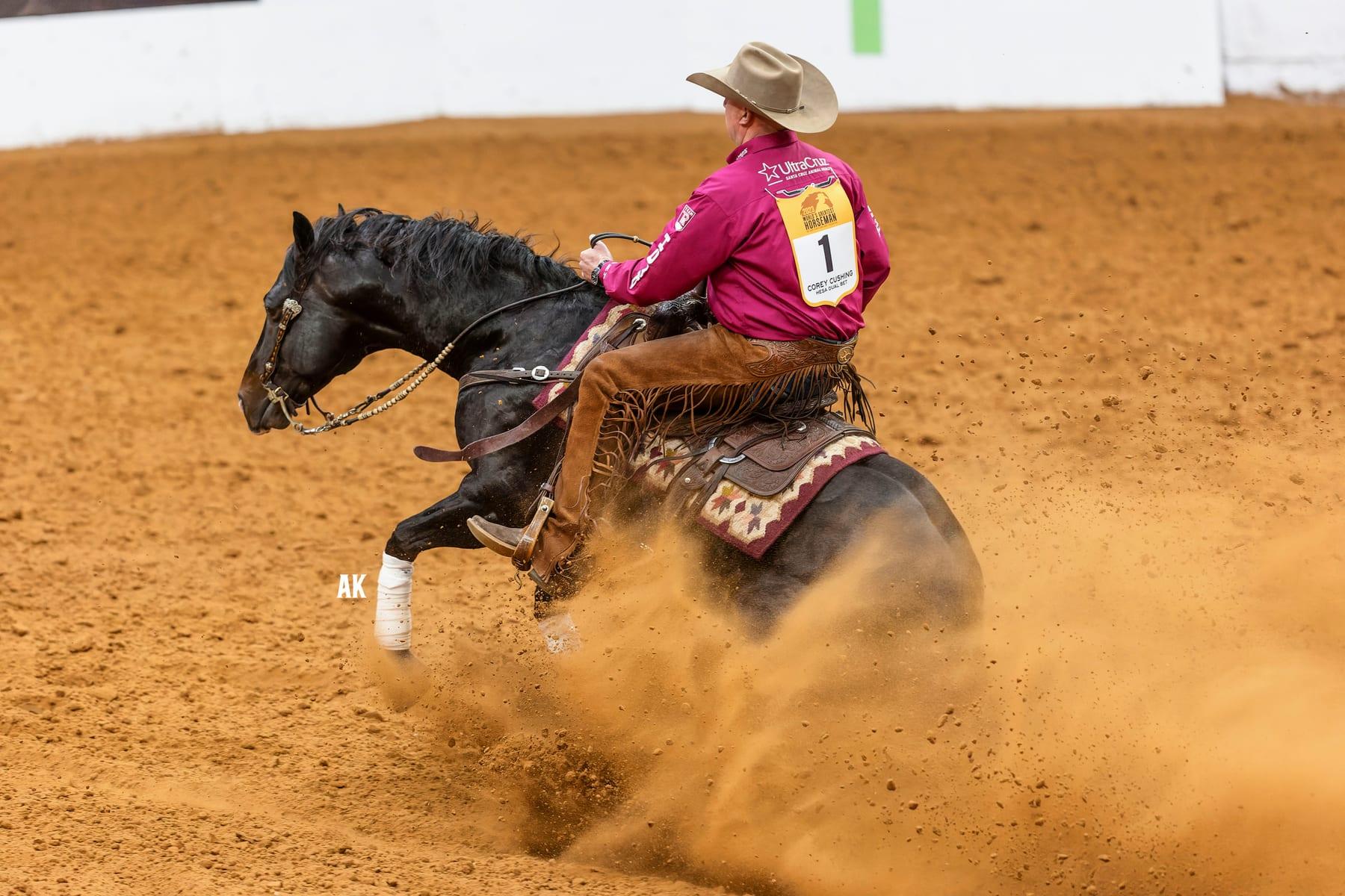 Hesa Dual Bet, bay reined cow horse stallion at Solo Select Horses — photo 7