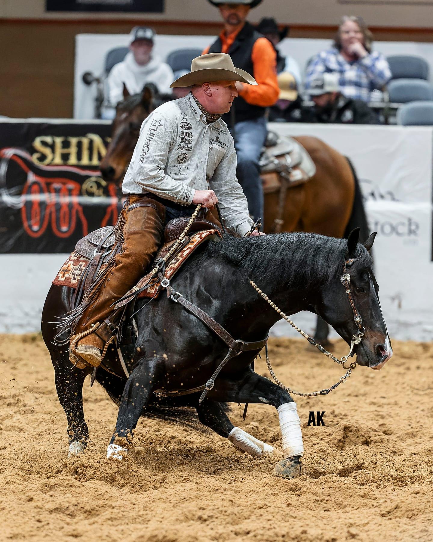 Hesa Dual Bet, bay reined cow horse stallion at Solo Select Horses — photo 8