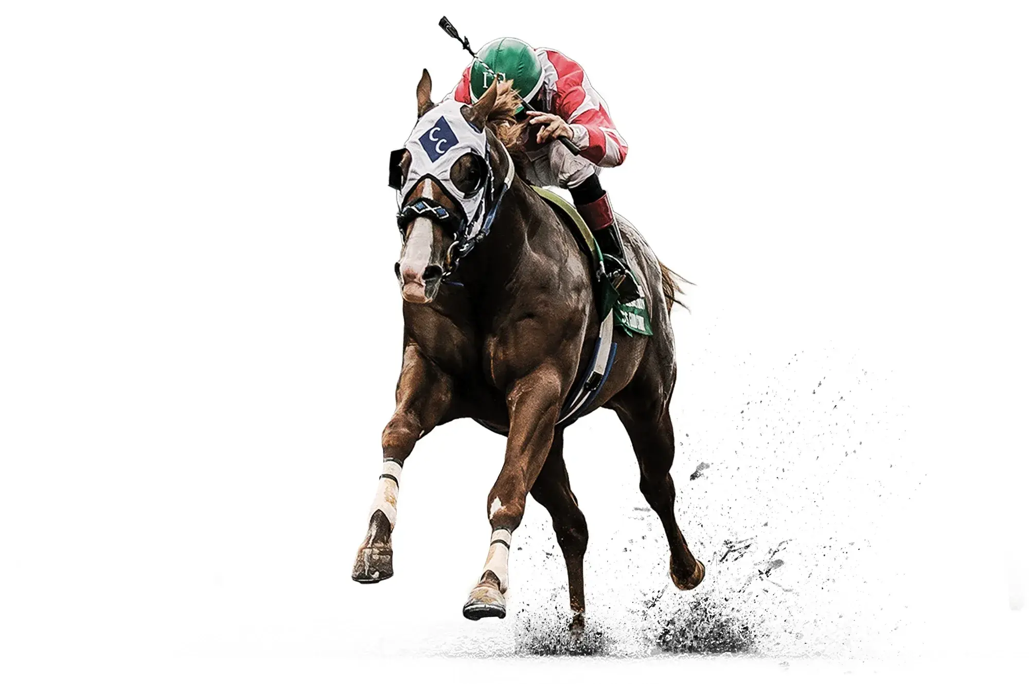 Jess Good Candy, a 2013 sorrel racing breeding stallion, by Good Reason Sa standing at Solo Select Horses