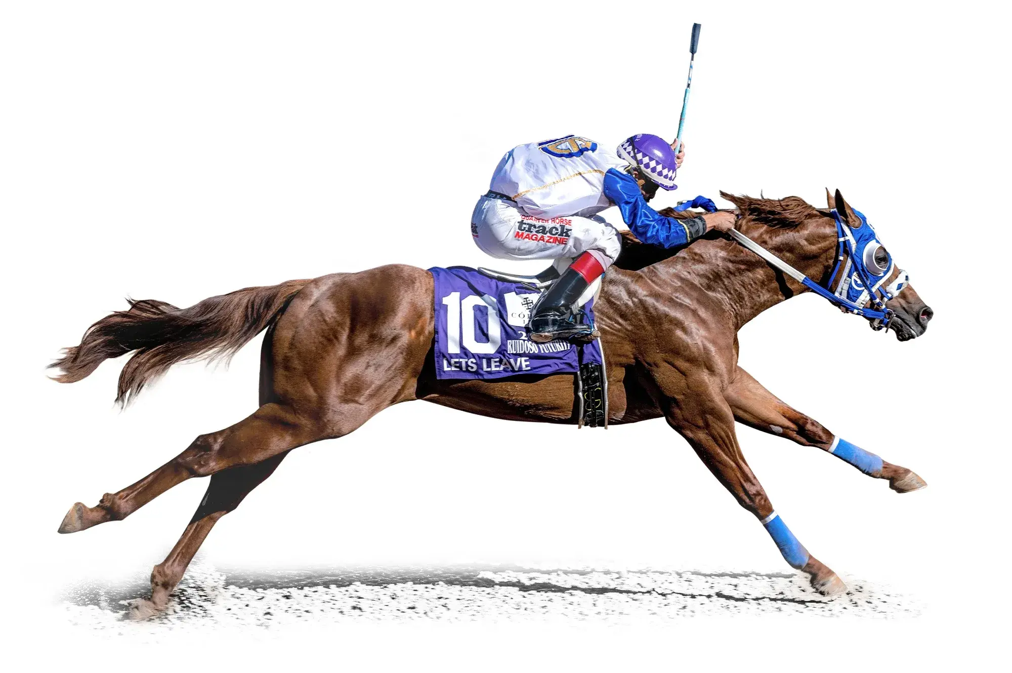 Lets Leave, a 2021 sorrel racing breeding stallion, by Favorite Cartel standing at Solo Select Horses